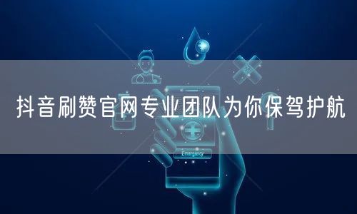 抖音刷赞官网专业团队为你保驾护航