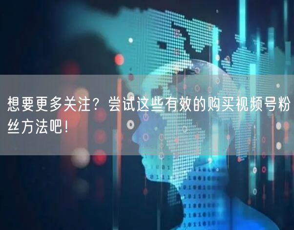 想要更多关注?尝试这些有效的购买视频号粉丝方法吧!