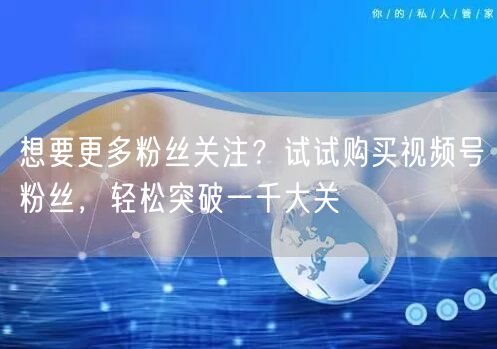 想要更多粉丝关注?试试购买视频号粉丝,轻松突破一千大关