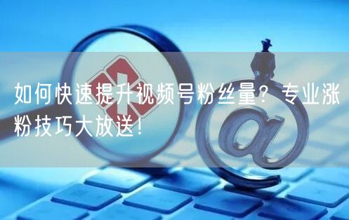 如何快速提升视频号粉丝量?专业涨粉技巧大放送!