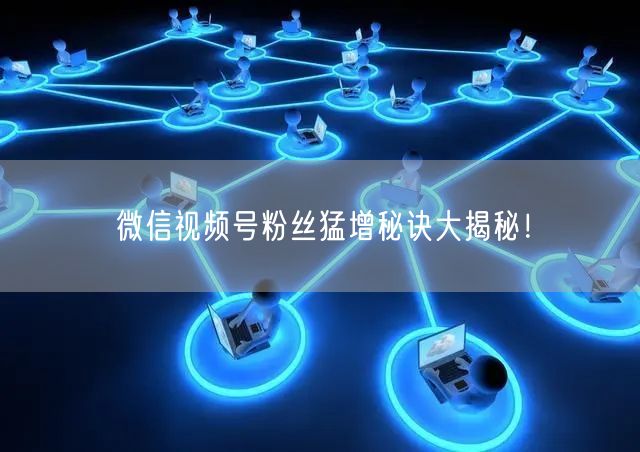 微信视频号粉丝猛增秘诀大揭秘！