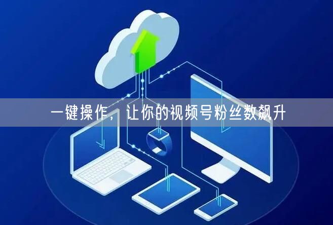 一键操作,让你的视频号粉丝数飙升
