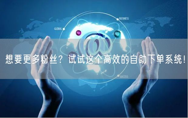 想要更多粉丝?试试这个高效的自助下单系统!