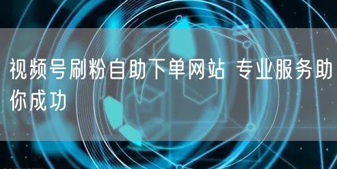 视频号刷粉自助下单网站 专业服务助你成功