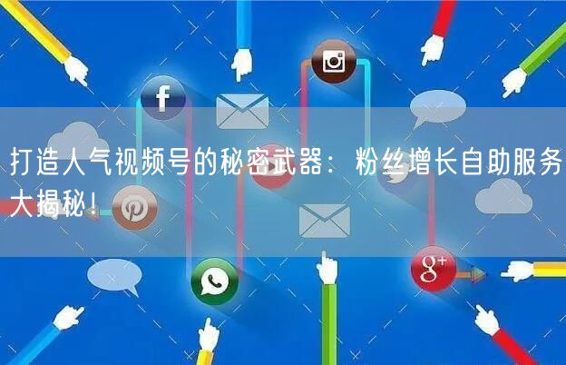 打造人气视频号的秘密武器:粉丝增长自助服务大揭秘!